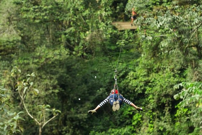Flight of the Gibbon, Zip line Adventure Tour from Bangkok including Lunch